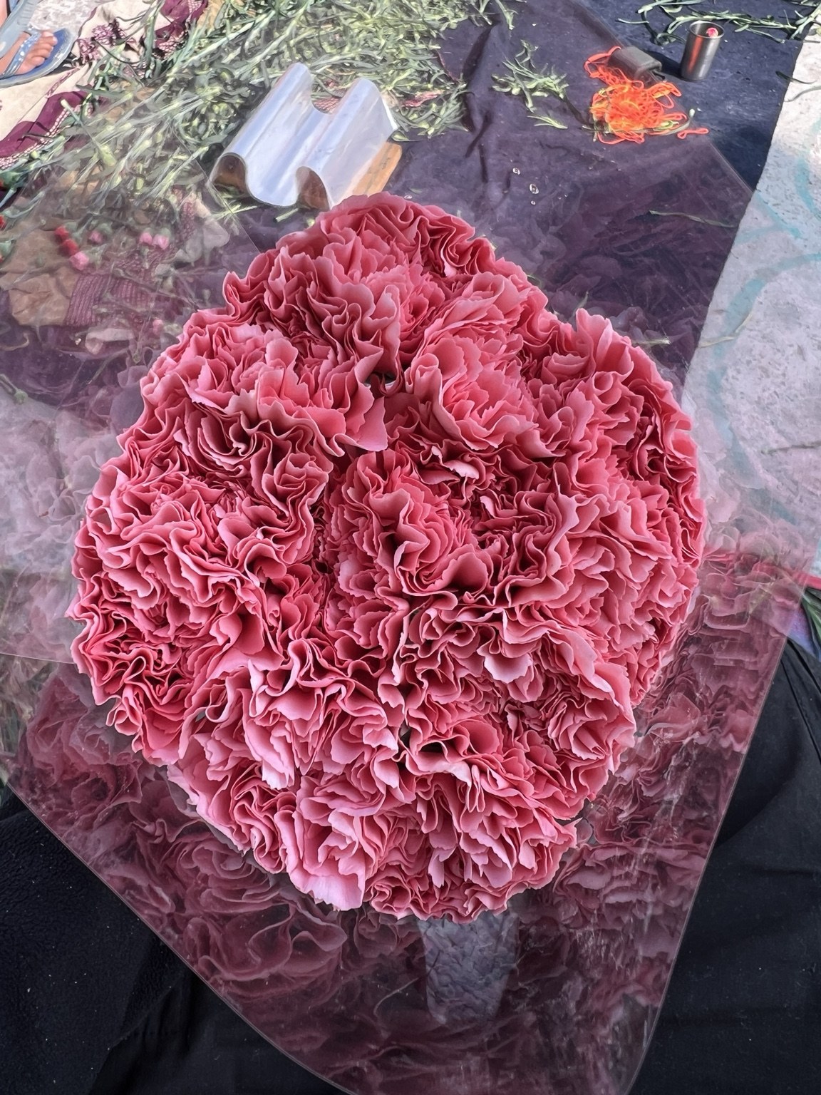 Wholesale carnation supply